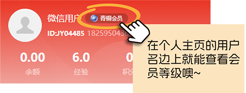 胶友商城个人主页会员等级