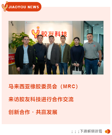 马来西亚橡胶委员会MRC来访胶友科技