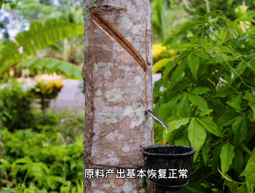 橡胶期货