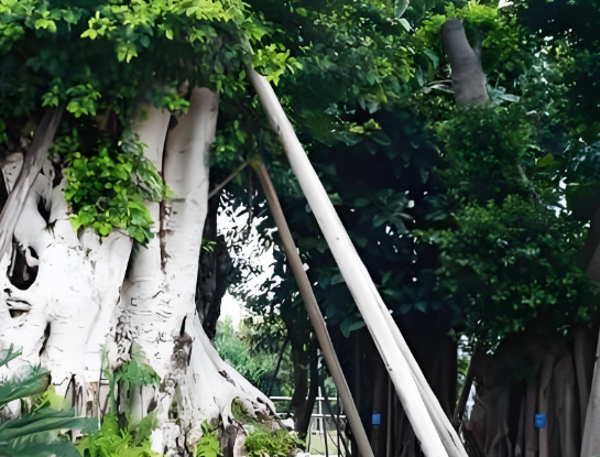 橡胶市场