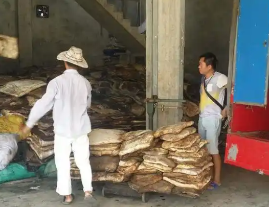 橡胶市场预计下周将横向交易