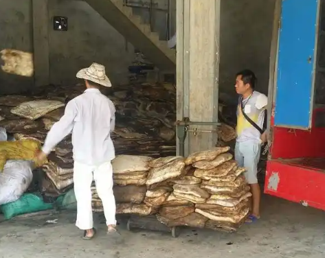 橡胶市场