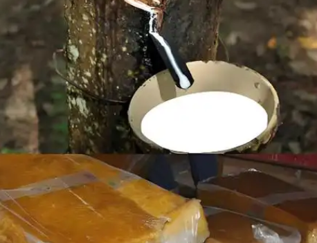 橡胶市场因供应担忧而延续涨势